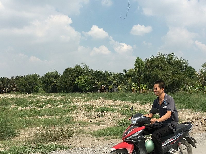 Khoảnh đất rộng khoảng 8.000 m2 (ấp 2, xã Phong Phú, huyện Bình Chánh, TP.HCM) nghi là nơi chôn lấp hàng chục tấn rác thải nguy hại nay đã khá bằng phẳng, cỏ dại mọc xanh tốt. Ảnh: N.TÂN