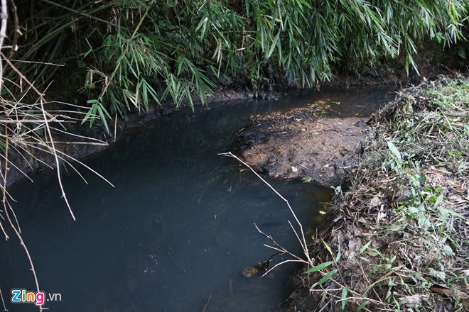 Khởi tố vụ án nước sạch sông Đà ô nhiễm - Ảnh 1.
